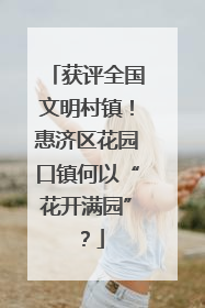 获评全国文明村镇！惠济区花园口镇何以“花开满园”？