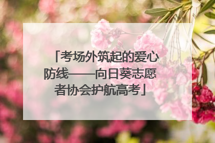 考场外筑起的爱心防线——向日葵志愿者协会护航高考
