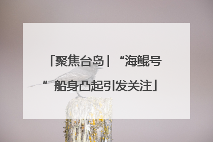 聚焦台岛│“海鲲号”船身凸起引发关注