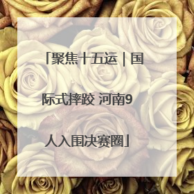 聚焦十五运｜国际式摔跤 河南9人入围决赛圈