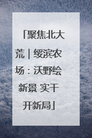 聚焦北大荒｜绥滨农场：沃野绘新景 实干开新局