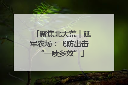 聚焦北大荒｜延军农场：飞防出击 “一喷多效”