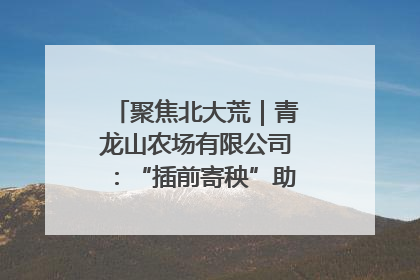 聚焦北大荒｜青龙山农场有限公司：“插前寄秧”助力农业节本增效