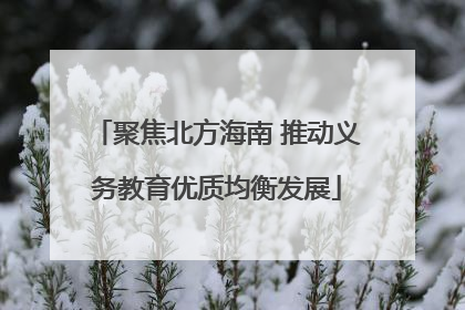 聚焦北方海南 推动义务教育优质均衡发展