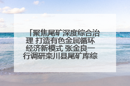 聚焦尾矿深度综合治理 打造有色金属循环经济新模式 张金良一行调研栾川县尾矿库综合治理工作