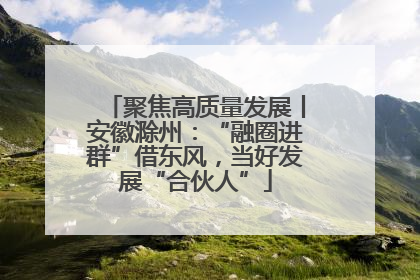 聚焦高质量发展丨安徽滁州：“融圈进群”借东风，当好发展“合伙人”