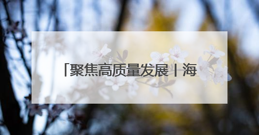 聚焦高质量发展丨海南临高：渔港经济奏响三产融合发展强音