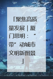 聚焦高质量发展｜厦门思明：“带”动城市文明新图景