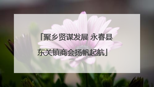 聚乡贤谋发展 永春县东关镇商会扬帆起航