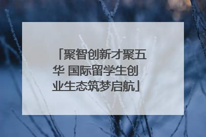 聚智创新才聚五华 国际留学生创业生态筑梦启航