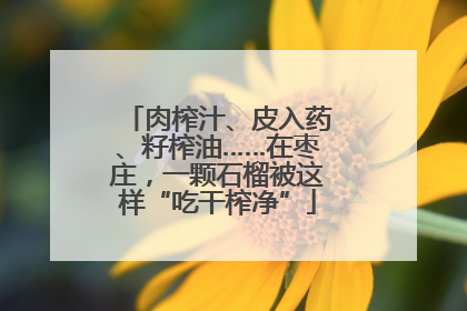 肉榨汁、皮入药、籽榨油……在枣庄，一颗石榴被这样“吃干榨净”