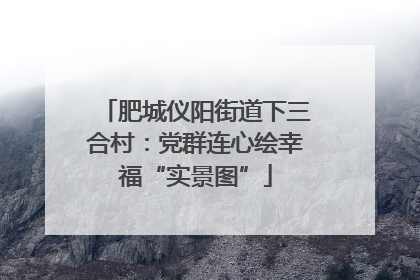 肥城仪阳街道下三合村：党群连心绘幸福“实景图”