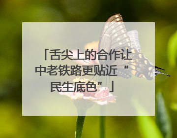 舌尖上的合作让中老铁路更贴近“民生底色”