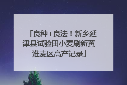 良种+良法！新乡延津县试验田小麦刷新黄淮麦区高产记录