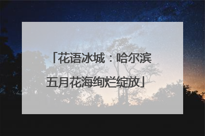 花语冰城：哈尔滨五月花海绚烂绽放