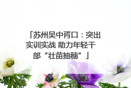 苏州吴中胥口：突出实训实战 助力年轻干部“壮苗抽穗”
