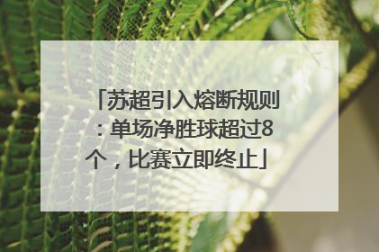 苏超引入熔断规则：单场净胜球超过8个，比赛立即终止