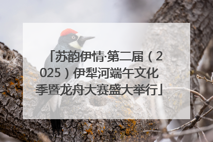苏韵伊情·第二届（2025）伊犁河端午文化季暨龙舟大赛盛大举行