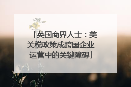 英国商界人士：美关税政策成跨国企业运营中的关键障碍