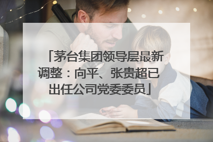 茅台集团领导层最新调整：向平、张贵超已出任公司党委委员