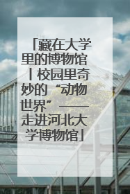 藏在大学里的博物馆丨校园里奇妙的“动物世界”——走进河北大学博物馆