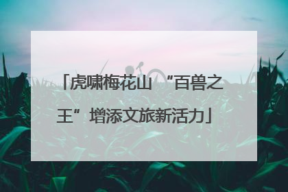 虎啸梅花山 “百兽之王”增添文旅新活力
