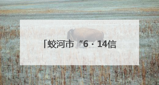 蛟河市“6・14信用记录关爱日”主题宣传活动成功举办