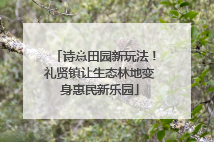 诗意田园新玩法！礼贤镇让生态林地变身惠民新乐园