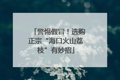 警惕假冒！选购正宗“海口火山荔枝”有妙招