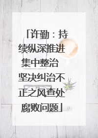 许勤：持续纵深推进集中整治 坚决纠治不正之风查处腐败问题
