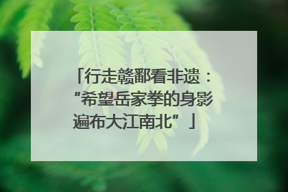 行走赣鄱看非遗：“希望岳家拳的身影遍布大江南北”