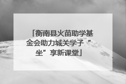 衡南县火苗助学基金会助力城关学子“坐”享新课堂