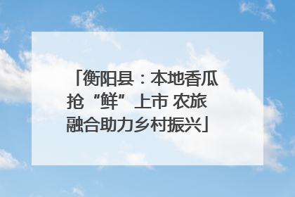 衡阳县：本地香瓜抢“鲜”上市 农旅融合助力乡村振兴