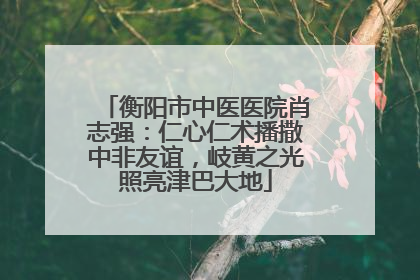 衡阳市中医医院肖志强：仁心仁术播撒中非友谊，岐黄之光照亮津巴大地