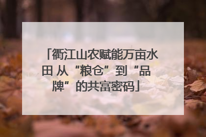 衢江山农赋能万亩水田 从“粮仓”到“品牌”的共富密码