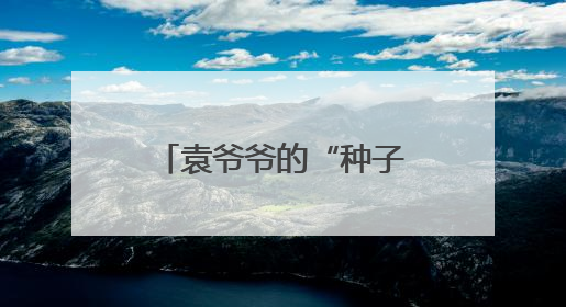 袁爷爷的“种子”在丽水发芽了！四年后，他的禾下乘凉梦这样延续