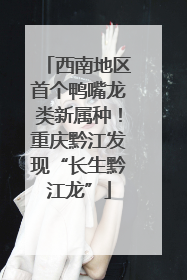 西南地区首个鸭嘴龙类新属种！重庆黔江发现“长生黔江龙”
