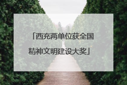 西充两单位获全国精神文明建设大奖