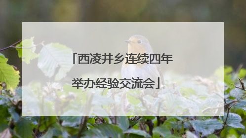 西凌井乡连续四年举办经验交流会