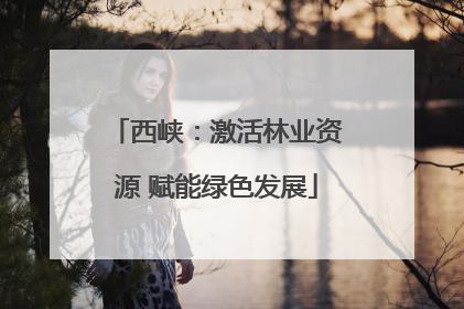 西峡：激活林业资源 赋能绿色发展