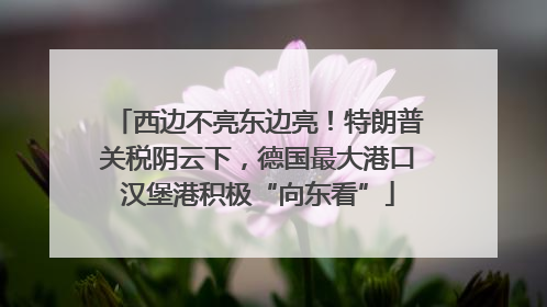 西边不亮东边亮！特朗普关税阴云下，德国最大港口汉堡港积极“向东看”