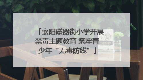 襄阳磁器街小学开展禁毒主题教育 筑牢青少年“无毒防线”