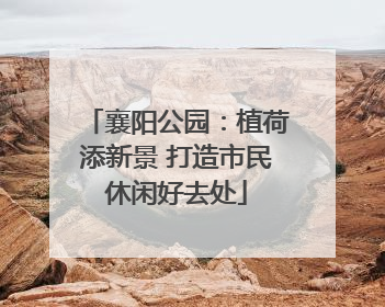 襄阳公园：植荷添新景 打造市民休闲好去处