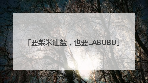 要柴米油盐，也要LABUBU