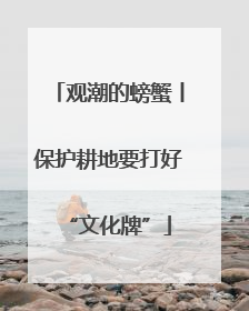 观潮的螃蟹丨保护耕地要打好“文化牌”