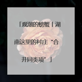 观潮的螃蟹丨湖南这里的村庄“合并同类项”