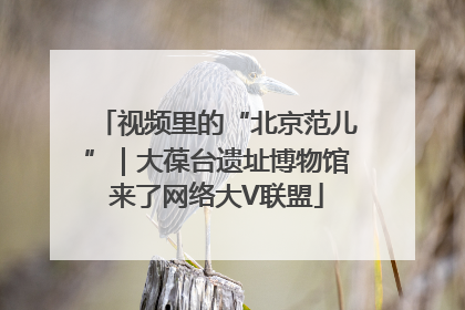 视频里的“北京范儿”｜大葆台遗址博物馆来了网络大V联盟