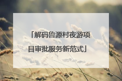 解码鲁源村夜游项目审批服务新范式