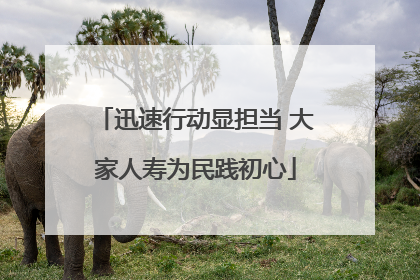 迅速行动显担当 大家人寿为民践初心