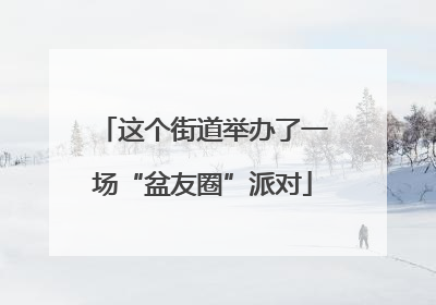 这个街道举办了一场“盆友圈”派对